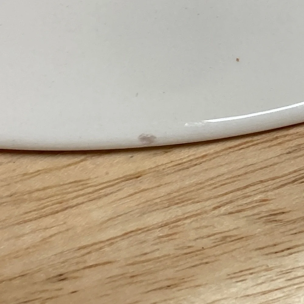 Pier 1 Imports Verona Ironstone Salad Plates Set of 4
